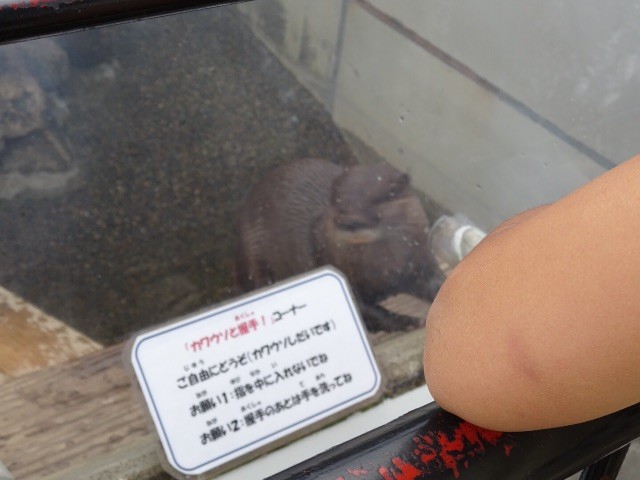 f:id:sunnyy:20150613151311j:image f:id:sunnyy:20150613151311j:image