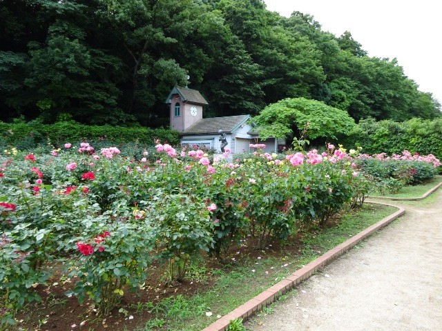f:id:sunnyy:20150613152018j:image f:id:sunnyy:20150613152018j:image