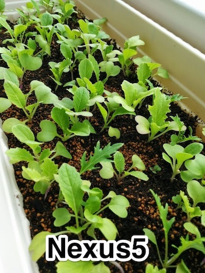 f:id:sunooo:20140524080608j:plain