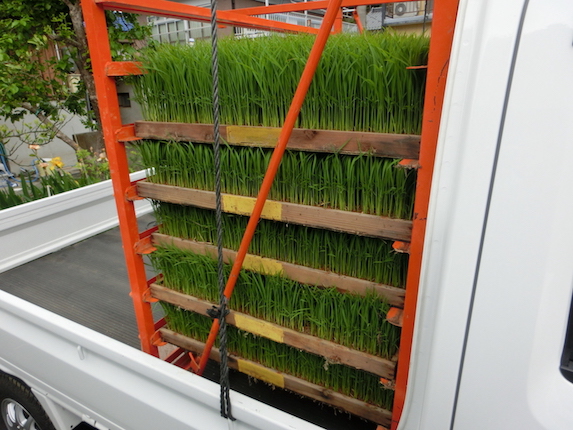 f:id:sunooo:20160507103621j:plain