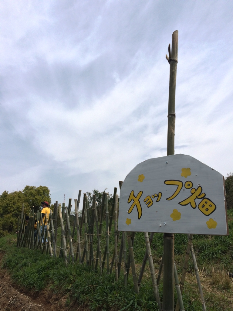 f:id:sunrise_chop_matono:20160414211521j:plain f:id:sunrise_chop_matono:20160414211521j:plain