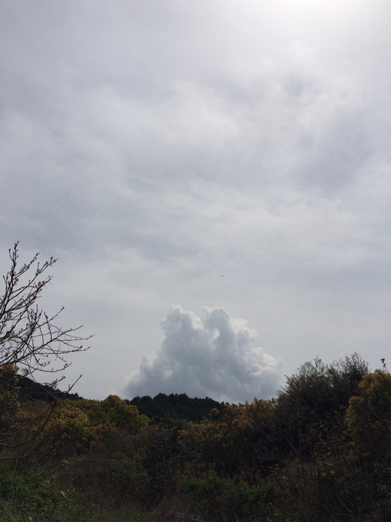 f:id:sunrise_chop_matono:20160414214331j:plain f:id:sunrise_chop_matono:20160414214331j:plain