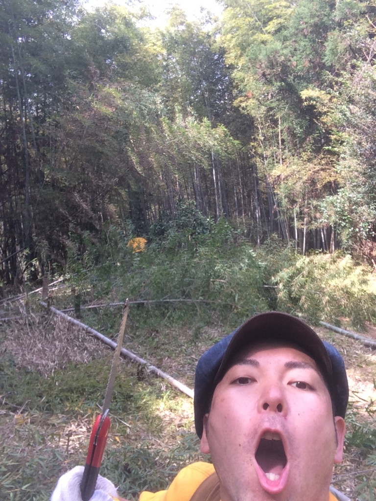 f:id:sunrise_chop_matono:20160414215417j:plain f:id:sunrise_chop_matono:20160414215417j:plain