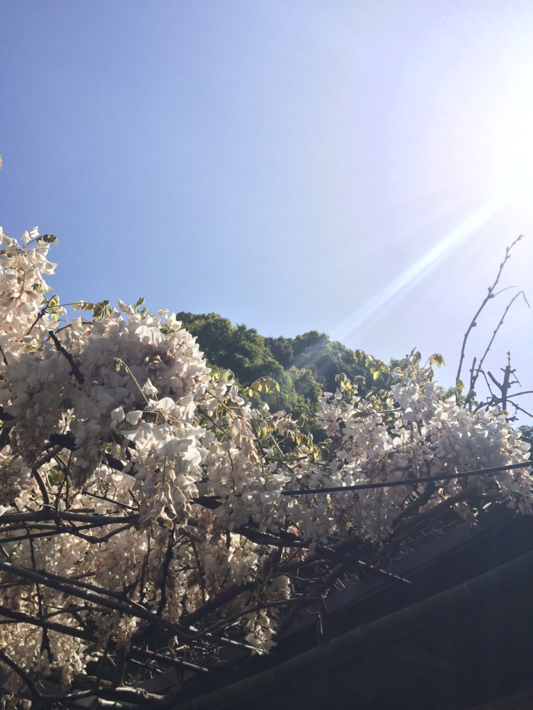 f:id:sunrise_chop_matono:20160418010310j:plain