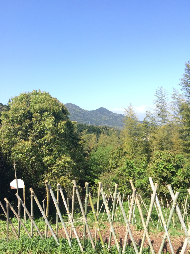 f:id:sunrise_chop_matono:20160418011420j:plain