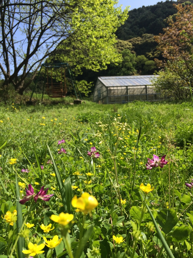 f:id:sunrise_chop_matono:20160418012216j:plain