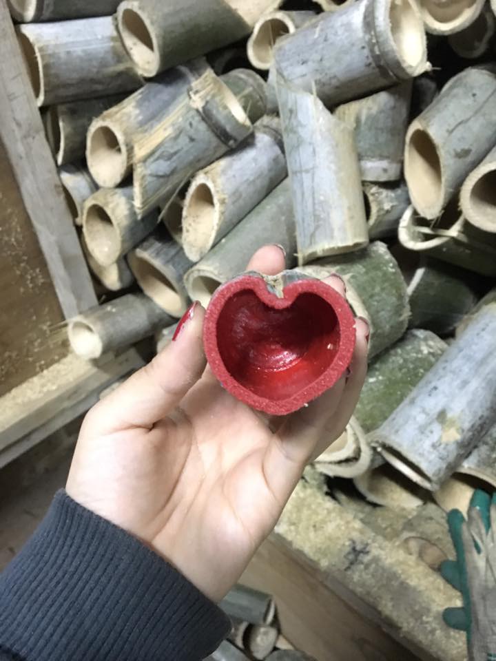 f:id:sunrise_chop_matono:20160427212137j:plain