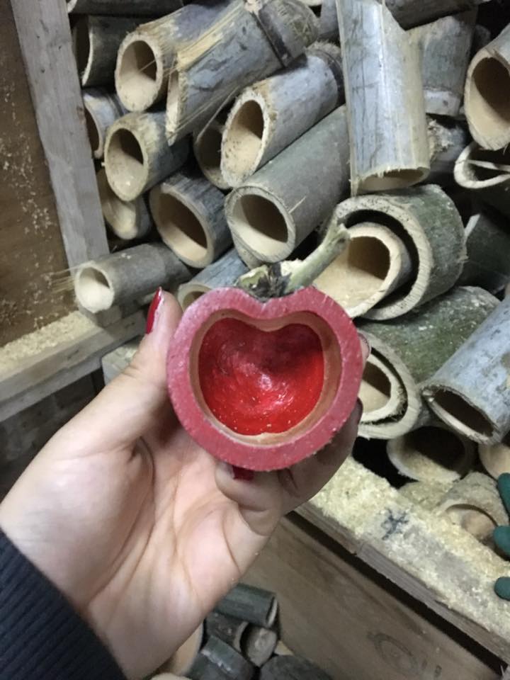 f:id:sunrise_chop_matono:20160427212151j:plain