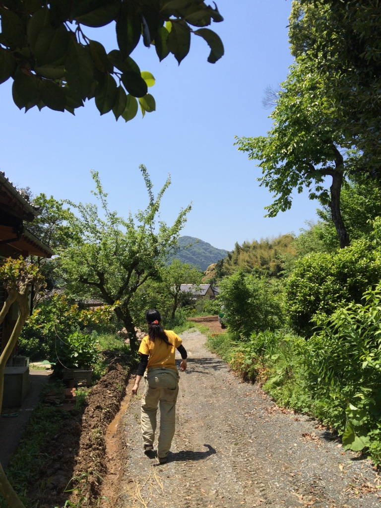 f:id:sunrise_chop_matono:20160501233209j:plain f:id:sunrise_chop_matono:20160501233209j:plain
