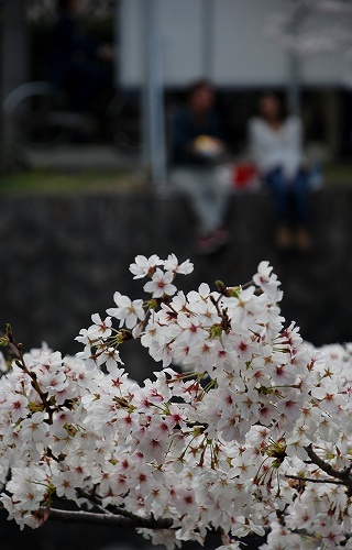 f:id:superexp221:20140403135942j:plain f:id:superexp221:20140403135942j:plain
