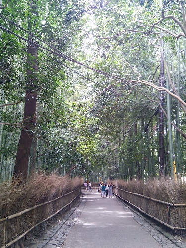 f:id:superexp221:20140826224444j:plain f:id:superexp221:20140826224444j:plain