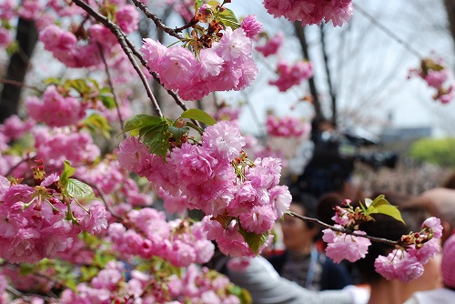 f:id:superexp221:20150411060929j:plain f:id:superexp221:20150411060929j:plain