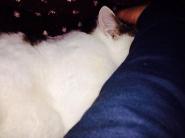 f:id:supersleeper36:20140217011743j:plain f:id:supersleeper36:20140217011743j:plain