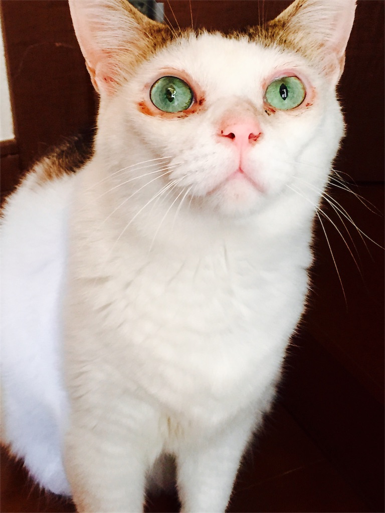 f:id:supersleeper36:20150927002833j:image f:id:supersleeper36:20150927002833j:image