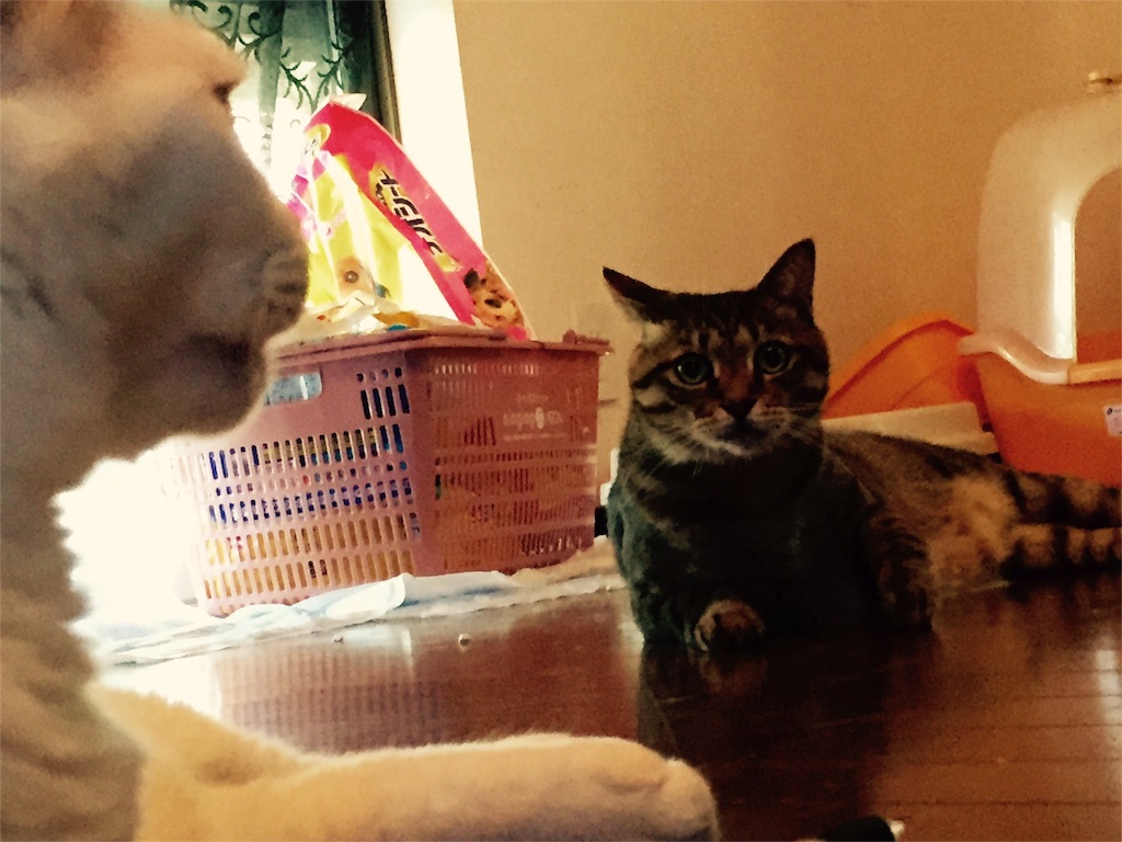 f:id:supersleeper36:20150927002938j:image f:id:supersleeper36:20150927002938j:image