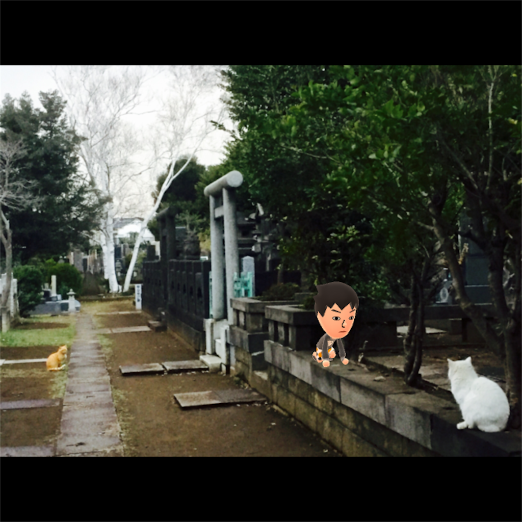 f:id:supersleeper36:20160320145409p:image f:id:supersleeper36:20160320145409p:image