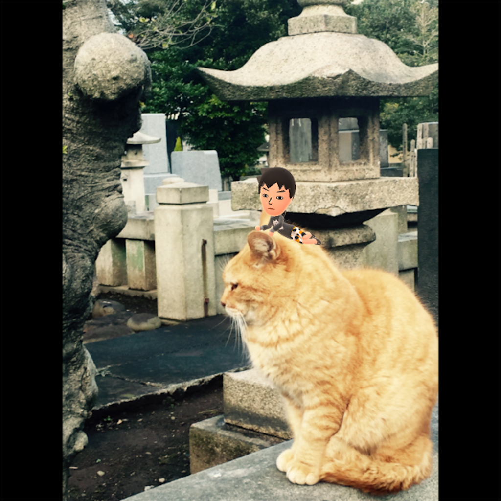 f:id:supersleeper36:20160320145418p:image f:id:supersleeper36:20160320145418p:image