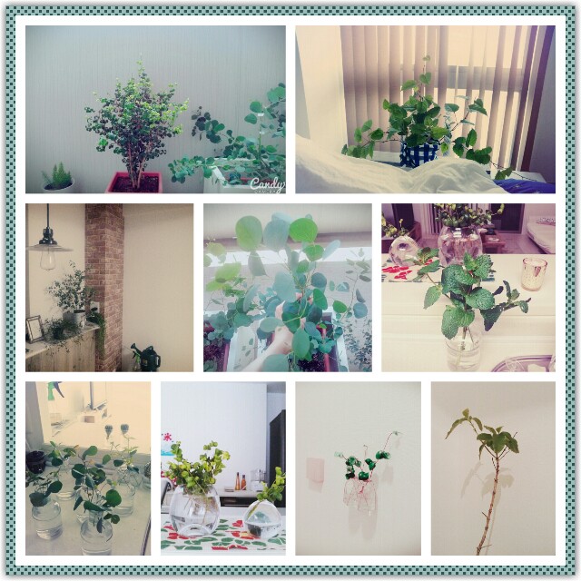 f:id:susaayu:20150903013116j:plain f:id:susaayu:20150903013116j:plain