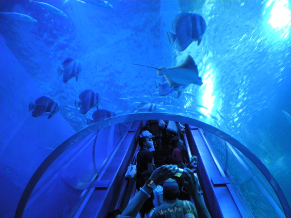 f:id:susushishi:20110827151311j:image:w360 f:id:susushishi:20110827151311j:image:w360