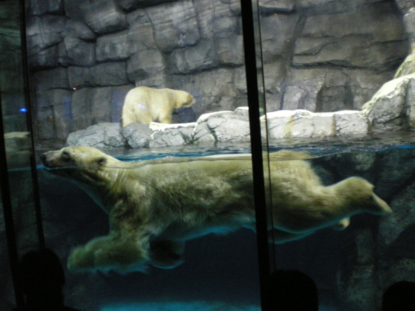 f:id:susushishi:20110827151313j:image:w360 f:id:susushishi:20110827151313j:image:w360