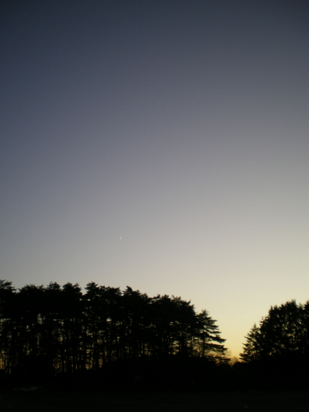 f:id:susushishi:20110827174030j:image:w360 f:id:susushishi:20110827174030j:image:w360