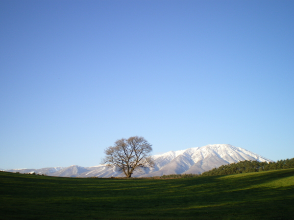 f:id:susushishi:20110827174042j:image:w360 f:id:susushishi:20110827174042j:image:w360