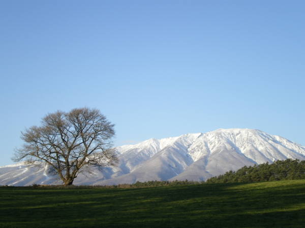 f:id:susushishi:20110827174043j:image:w360 f:id:susushishi:20110827174043j:image:w360