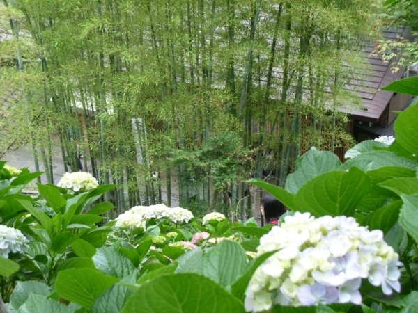 f:id:susushishi:20110901170648j:image:w360 f:id:susushishi:20110901170648j:image:w360