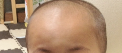 f:id:susushishi:20120117162158j:image:w360 f:id:susushishi:20120117162158j:image:w360