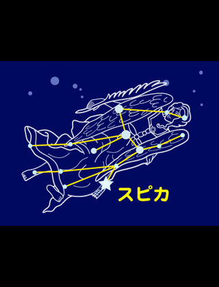 f:id:suuco:20130120204348j:plain f:id:suuco:20130120204348j:plain