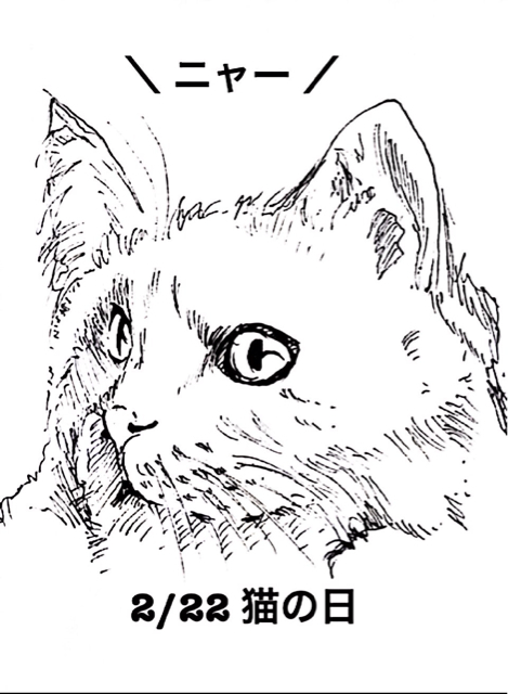 f:id:suuco:20130225152106j:plain f:id:suuco:20130225152106j:plain