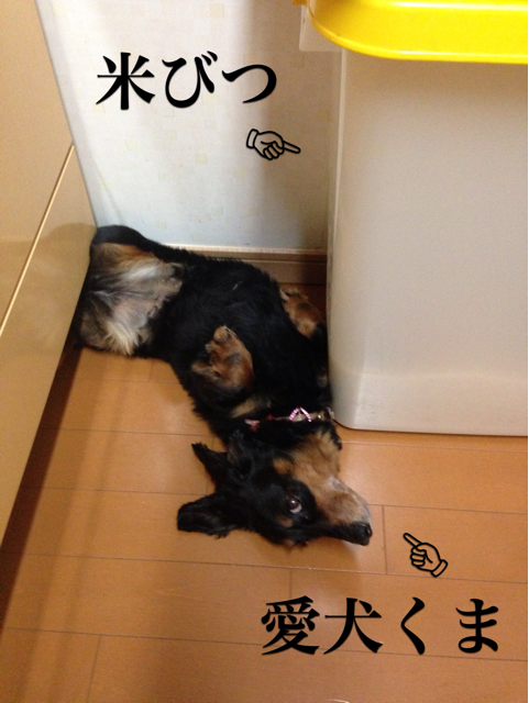 f:id:suuco:20130628022333j:plain f:id:suuco:20130628022333j:plain