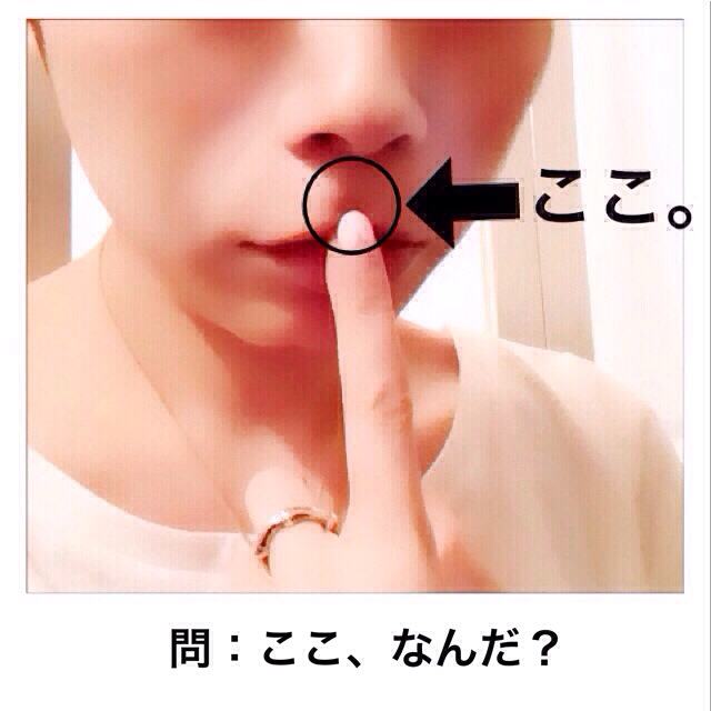 f:id:suuco:20131030173202j:plain f:id:suuco:20131030173202j:plain