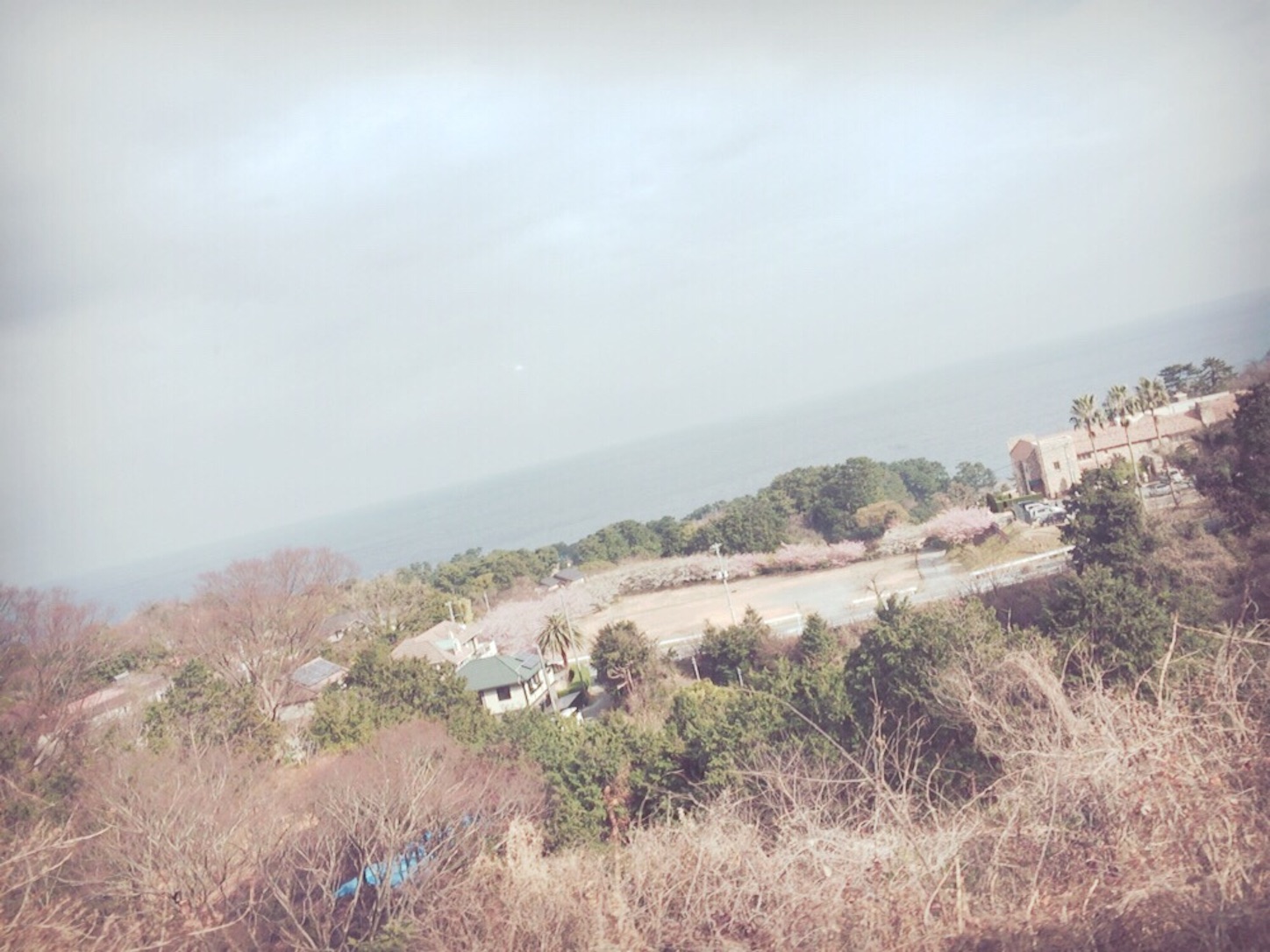 f:id:suzugreen03:20160227133035j:image f:id:suzugreen03:20160227133035j:image