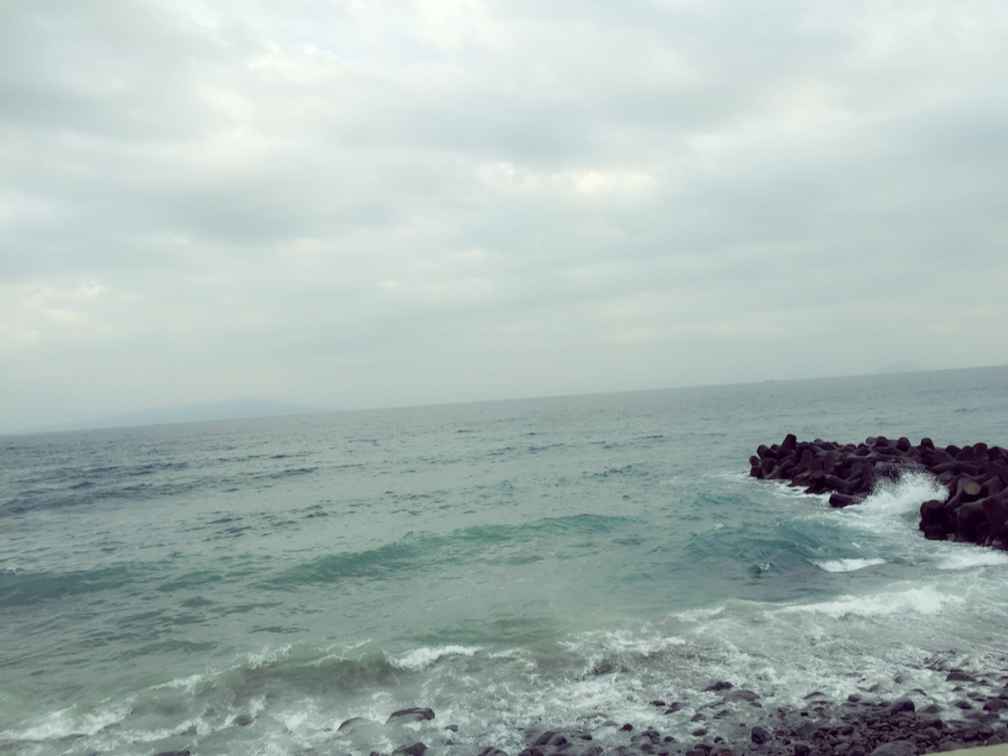 f:id:suzugreen03:20160227133634j:image f:id:suzugreen03:20160227133634j:image