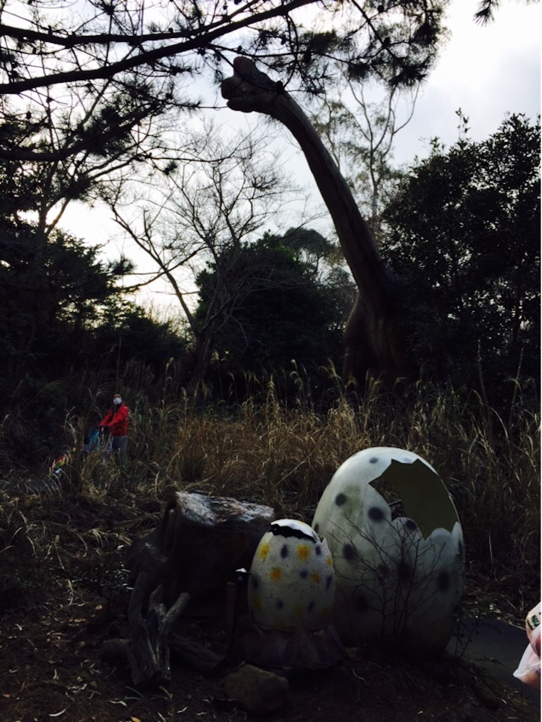 f:id:suzugreen03:20160301003226j:image f:id:suzugreen03:20160301003226j:image