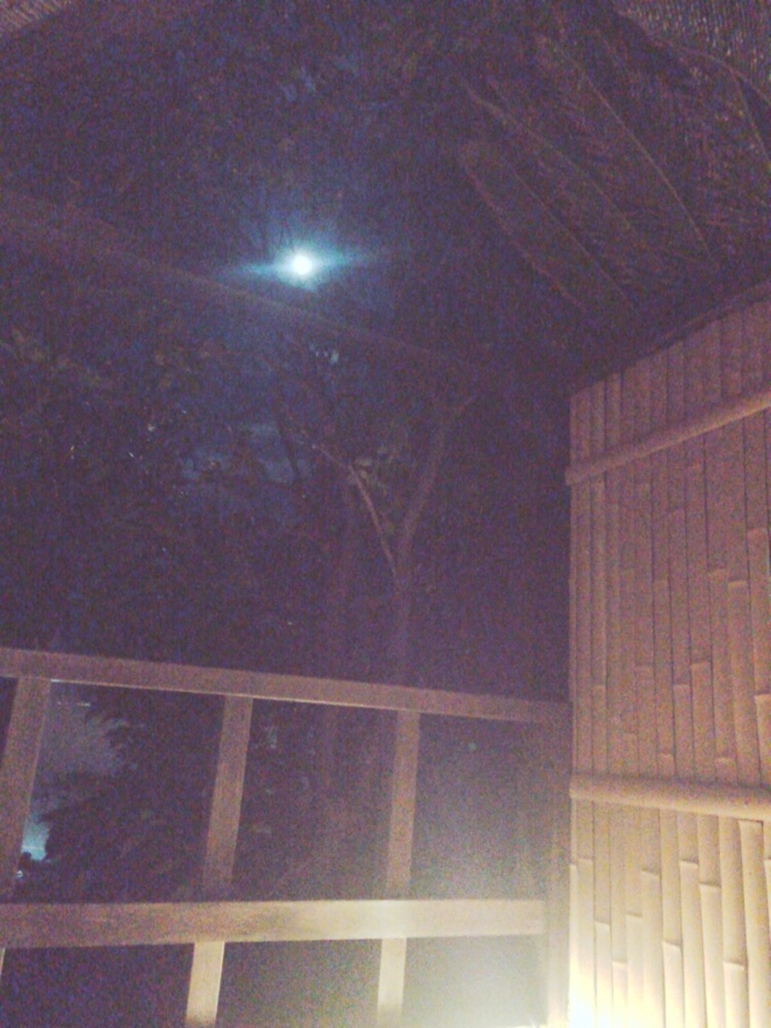 f:id:suzugreen03:20160301004004j:image f:id:suzugreen03:20160301004004j:image