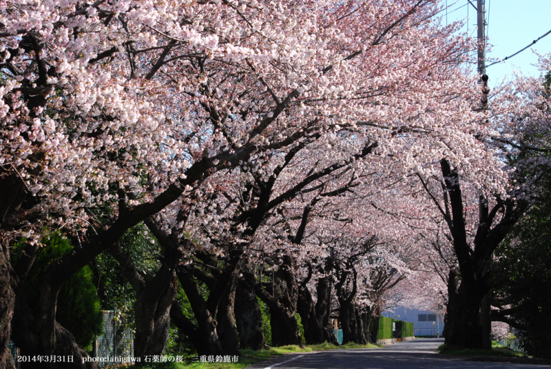 f:id:suzuka-mieken:20140331121540j:plain