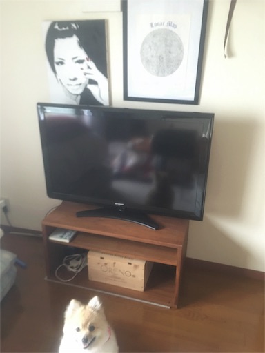 f:id:suzukan:20160222121123j:plain f:id:suzukan:20160222121123j:plain