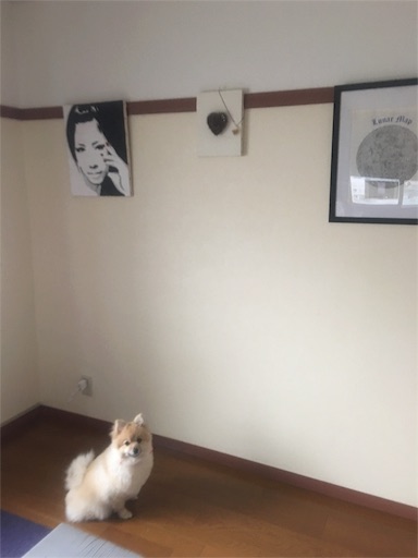 f:id:suzukan:20160224104027j:image f:id:suzukan:20160224104027j:image