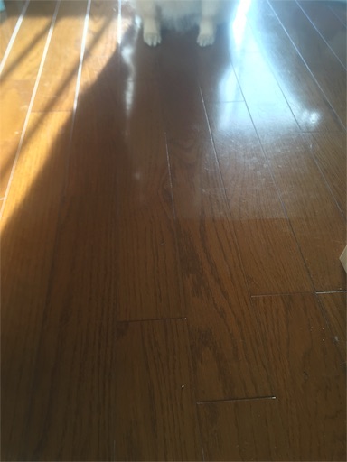 f:id:suzukan:20160226103648j:image f:id:suzukan:20160226103648j:image