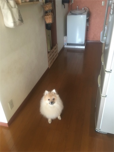 f:id:suzukan:20160226103706j:image f:id:suzukan:20160226103706j:image