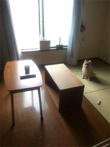 f:id:suzukan:20160609085807j:image f:id:suzukan:20160609085807j:image