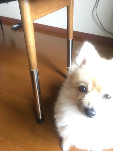 f:id:suzukan:20160609085814j:image f:id:suzukan:20160609085814j:image