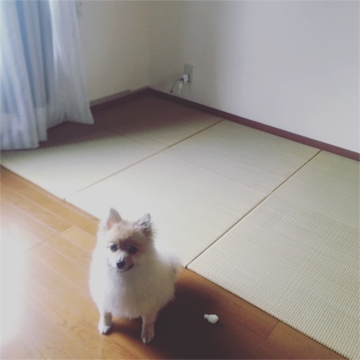 f:id:suzukan:20160609085824j:image f:id:suzukan:20160609085824j:image