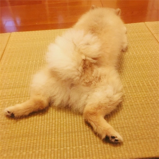 f:id:suzukan:20160609085835j:image f:id:suzukan:20160609085835j:image