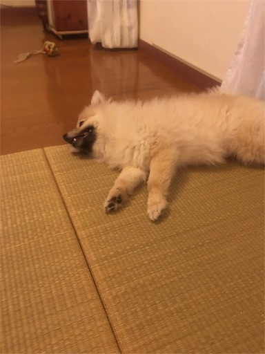 f:id:suzukan:20160609085843j:image f:id:suzukan:20160609085843j:image