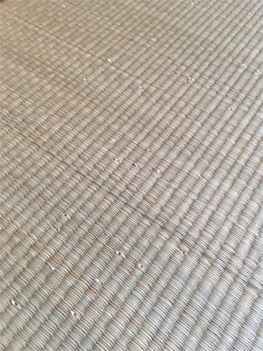 f:id:suzukan:20160609085925j:image f:id:suzukan:20160609085925j:image