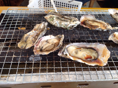 f:id:suzuki-goose350:20130105180120j:plain f:id:suzuki-goose350:20130105180120j:plain