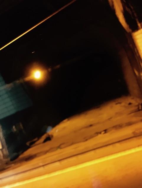 f:id:suzuki-goose350:20150713012345j:image f:id:suzuki-goose350:20150713012345j:image